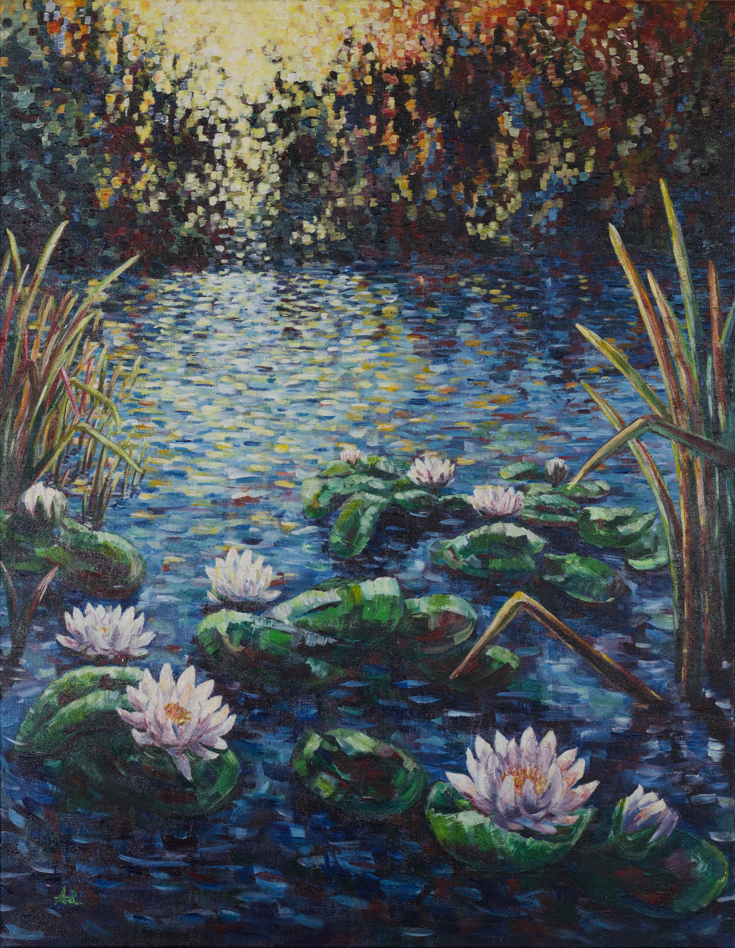 Water Lilies at Sunset