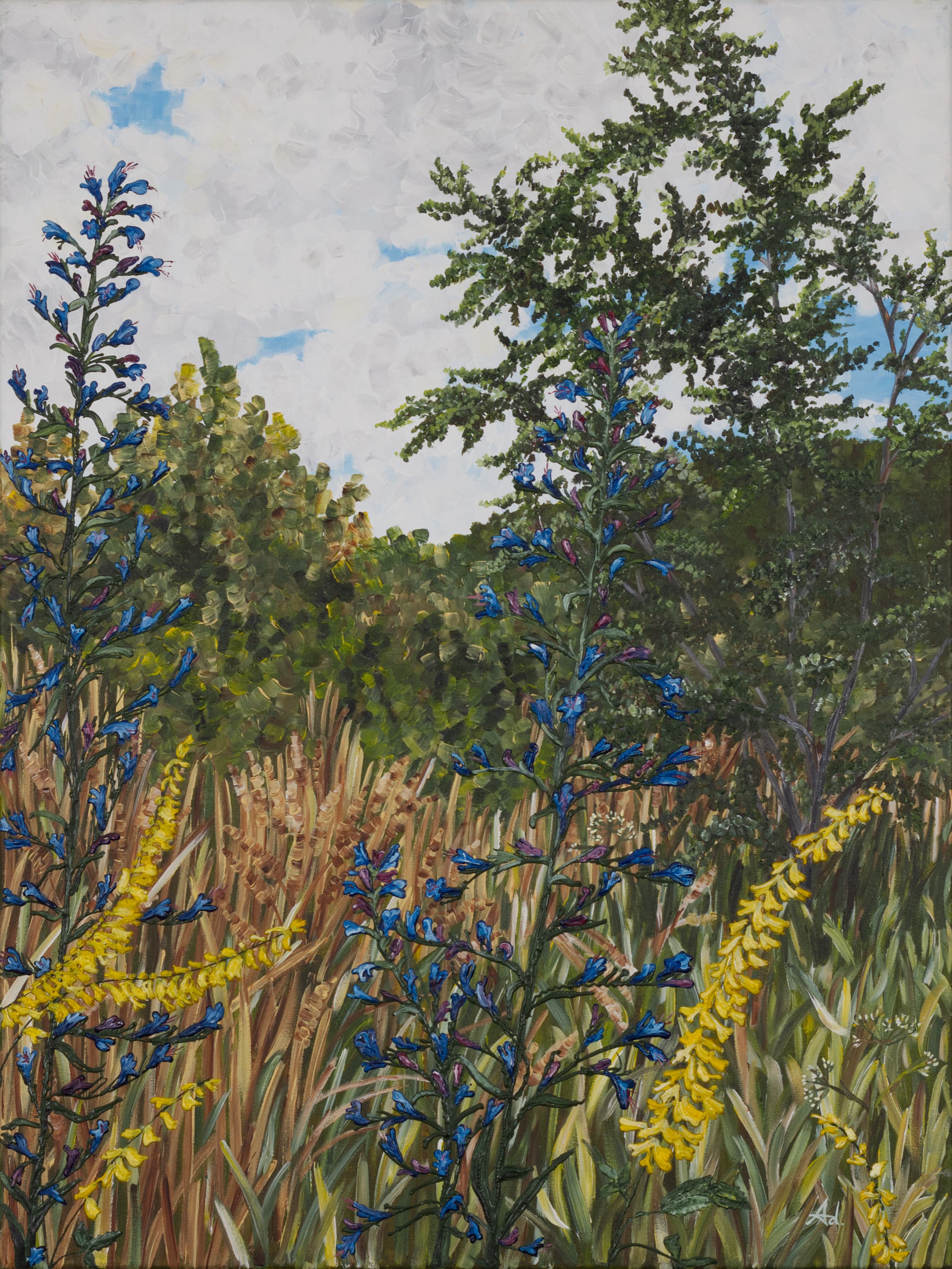 Blue and Yellow Flowers in the Meadow
