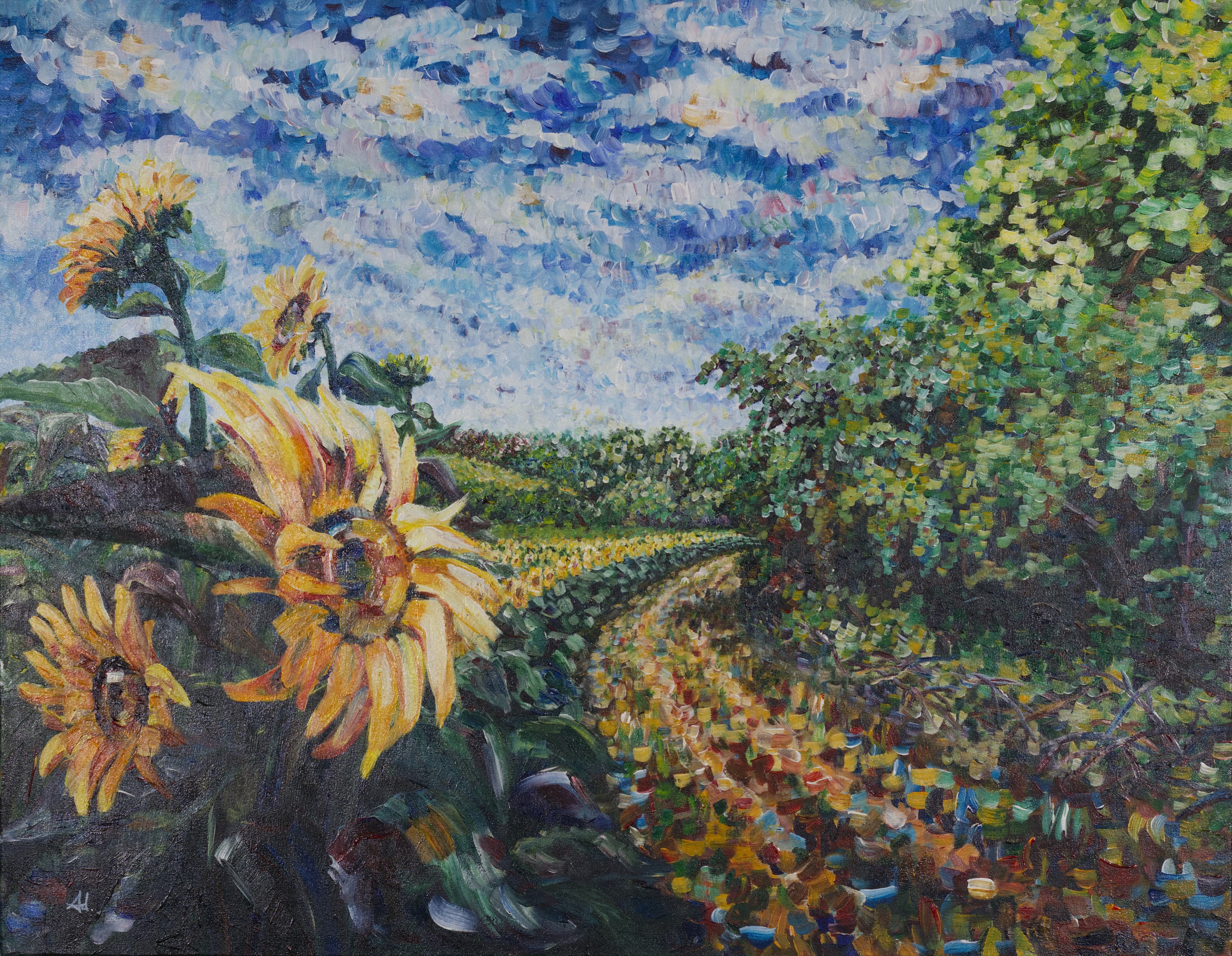 Field of Sunflowers