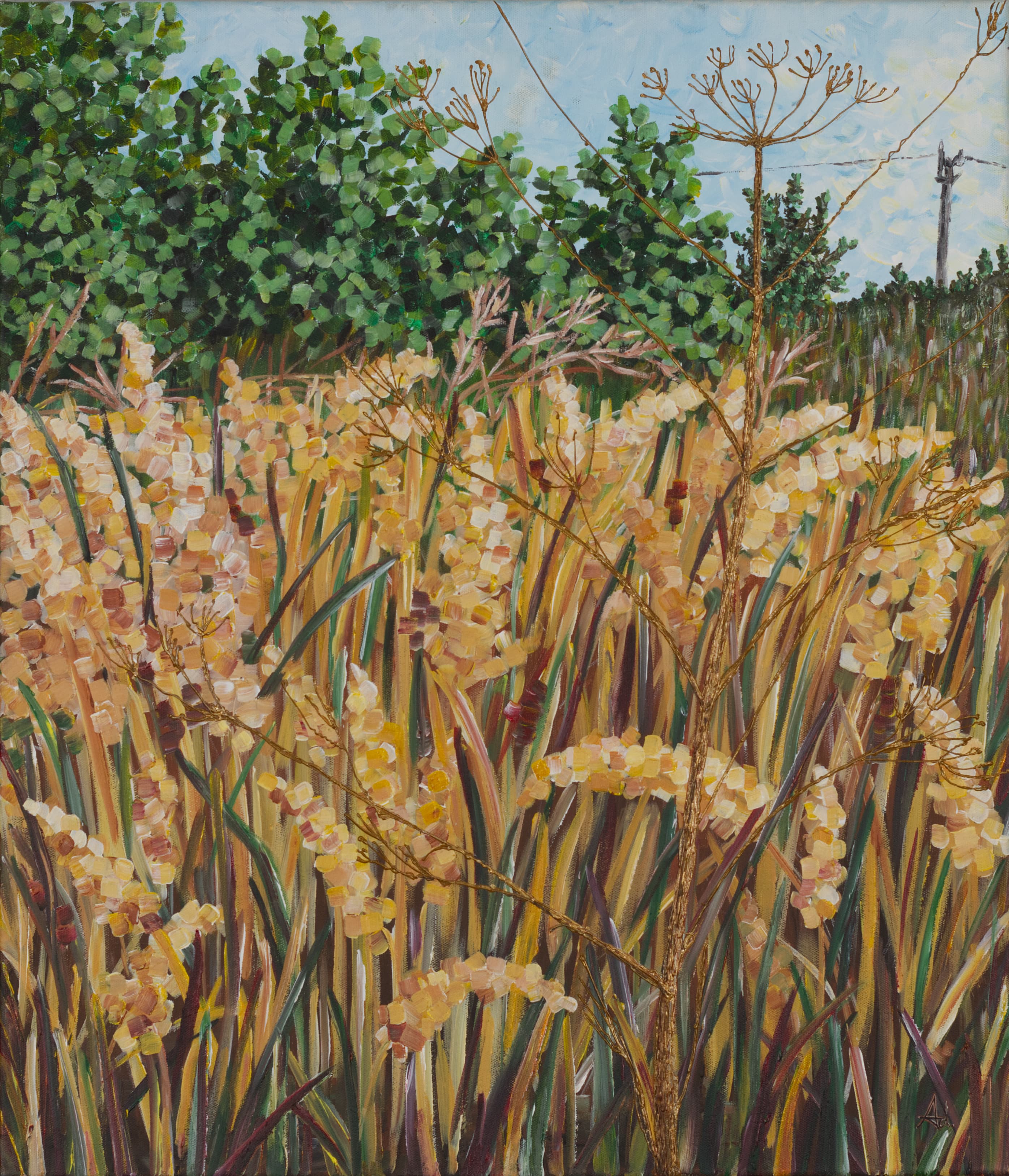 Yellow Grass by the Road